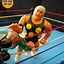 Image result for WWF Wrestling