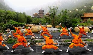 Image result for Chinese Martial Arts Moutain