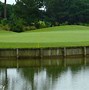 Image result for Funny Golf Hole