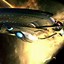 Image result for Star Trek iPhone Wallpaper 4K