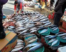 Image result for Raskin Fish Market