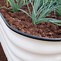 Image result for 6 Inch Pipe Vege Bed