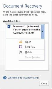 Image result for Recover Removed Word Files