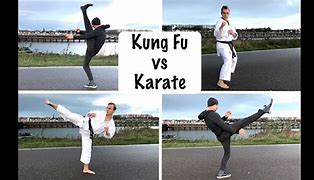 Image result for Kung Fu vs Karate