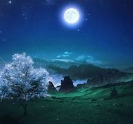 Image result for Display Picture Night Time