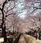 Image result for Places Foreigners Must Visit in Japan