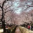 Image result for Kyoto Landmarks