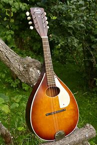 Image result for A Style Mandolin Plans