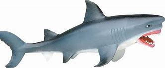 Image result for Safari LTD Great White Shark