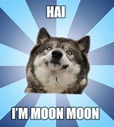 Image result for Dollar General On the Moon Meme