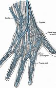 Image result for Finger Vein Recognition