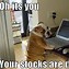 Image result for Stock Market Is Horrible Quotes