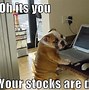 Image result for Financial Closeout Cat Meme