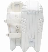 Image result for Wicket Keeping Pads