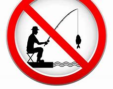 Image result for Funny No Fishing Signs
