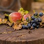 Image result for Autumn Fruits Art