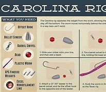 Image result for Snap Swivel Carolina Rig Image