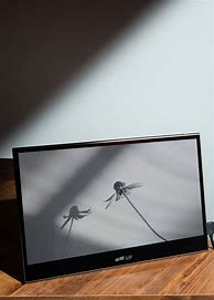 Image result for What Is OLED