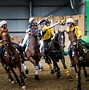 Image result for British Horse Ball