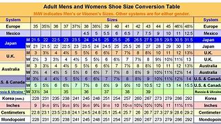 Image result for Shoe Size 41 in Us