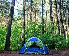 Image result for Camping Jokes