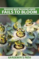 Image result for Floral Fails