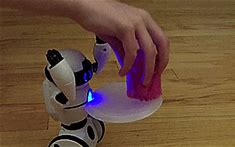 Image result for Self-Balancing Robot