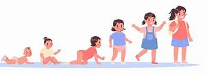 Image result for Child Growth and Development Stages