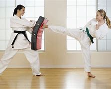 Image result for Learning Martial Arts