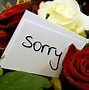 Image result for Sorry Hindi Poetry