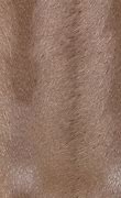 Image result for Mahogany Skin