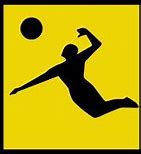 Image result for Volleyball 18 Shorts