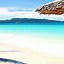 Image result for Phone Wallpaper Bright Beach