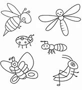 Image result for Insect 3-Dimensional Outline
