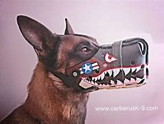 Image result for Custom Dog Muzzles