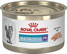 Image result for Royal Canin Canned Cat Food