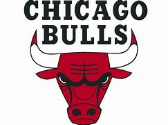 Image result for Chicago Bulls Jersey Logo