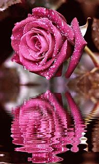 Image result for animation red roses gifs