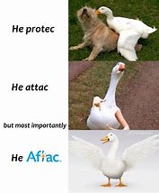 Image result for Most Importantly Protec Meme