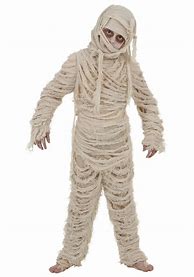 Image result for Mummy Costume Kids