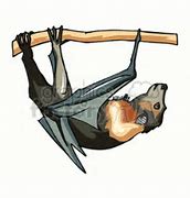 Image result for Upside Down Bat Clip Art