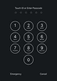 Image result for Enter Passcode or Use Touch ID