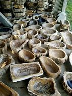 Image result for Petrified Wood Bark
