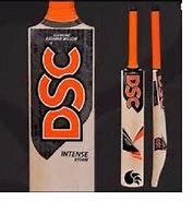 Image result for DSC Cricket Bat Logo