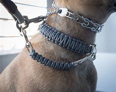 Image result for Dog Collar Safety Clip
