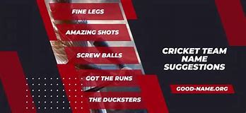 Image result for Cricket Team Name Ideas
