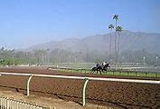 Image result for Santa Anita Park Horse Racing