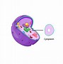 Image result for Cytoplasm Structure