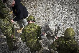 Image result for Dwayne Bishell Canadian Forces