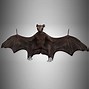 Image result for 3D Look Bat to Print